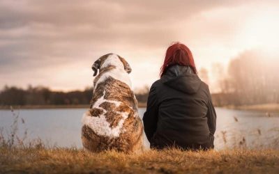 Kobieta, która rozmawia ze zwierzętami